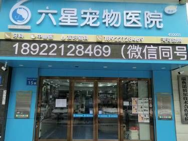 六星宠物医院复诊一条龙服务