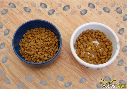 优秀猫粮的营养成分分析