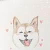 小暴同学