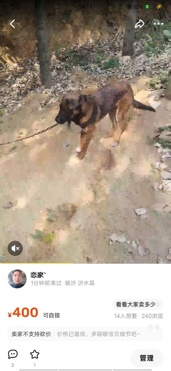 马犬串