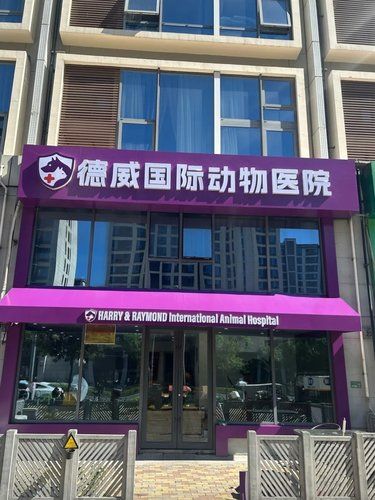 宠物医疗环境超级给力