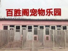 小营春节预定宠物寄养 散养 长短期寄养 上门接送