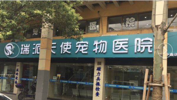 5天使闸北.png