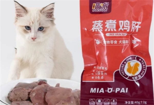 喵派宠物加盟