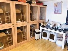 家庭式宠物寄养纯散养宠物照顾宠物托管宠物养老院宠物旅馆