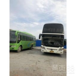 鞍山宠物托运到郑州，价格是多少呢？