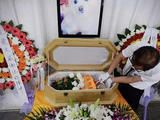 鞍山宠物无害化处理中心,鞍山家庭猫咪狗狗遗体火化