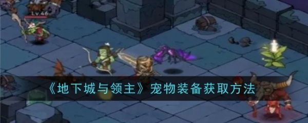 《地下城与领主》宠物装备获取方法