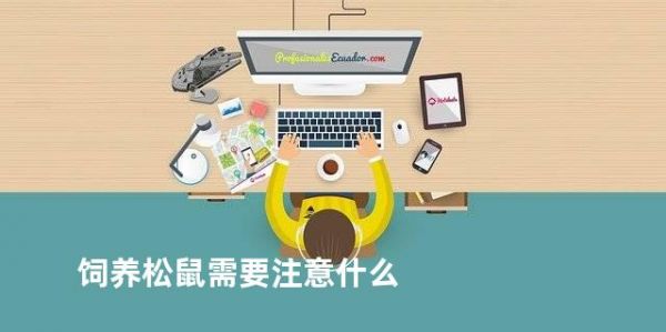 饲养松鼠需要注意什么