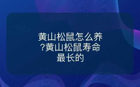 黄山松鼠怎么养?黄山松鼠寿命最长的
