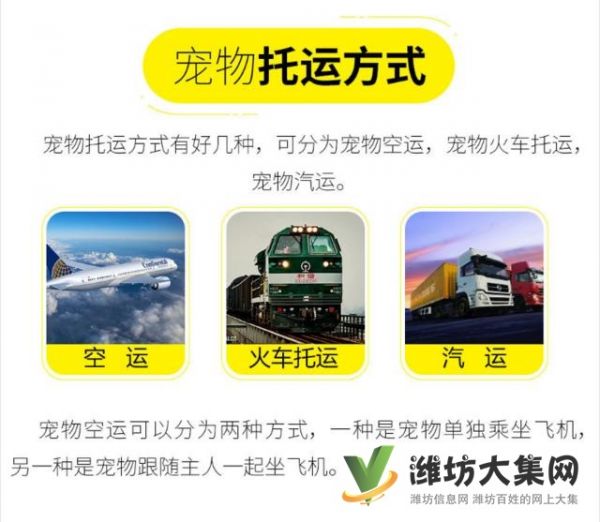 潍坊哪里有宠物托运公司 托运宠物多少钱？
