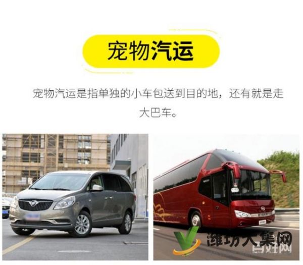 潍坊哪里有宠物托运公司 托运宠物多少钱？