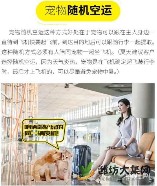 潍坊哪里有宠物托运公司 托运宠物多少钱？