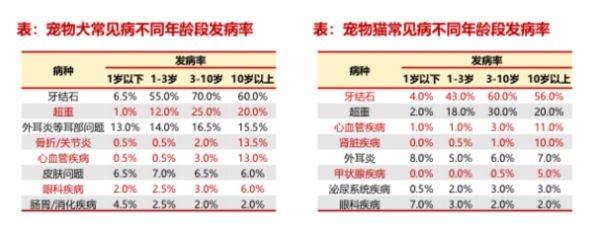 微信图片_20250918100313