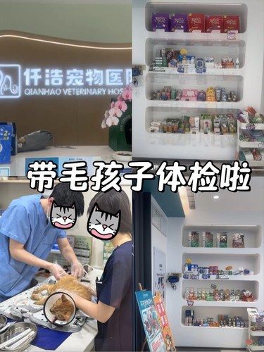 仟浩宠物医院超靠谱