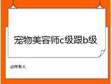 宠物美容师c级跟b级