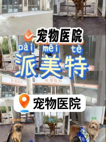 派美特宠物医院，宠物健康宝藏地～