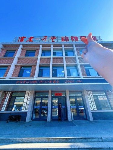 东北五星宠物，实力震撼来袭