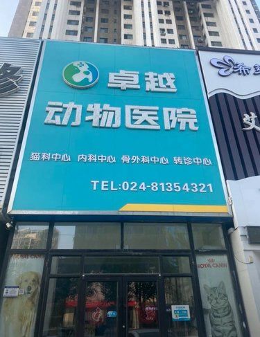 宠物体检日～X射线篇
