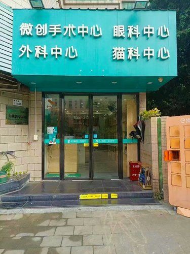  毛孩子健康“加油站”，暖心诊疗不打烊