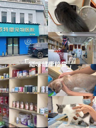 宠物医院也有新装修了
