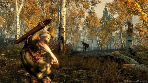 上古卷轴5（Elder Scrolls V）BFF Animal Companions小兽宠物下载