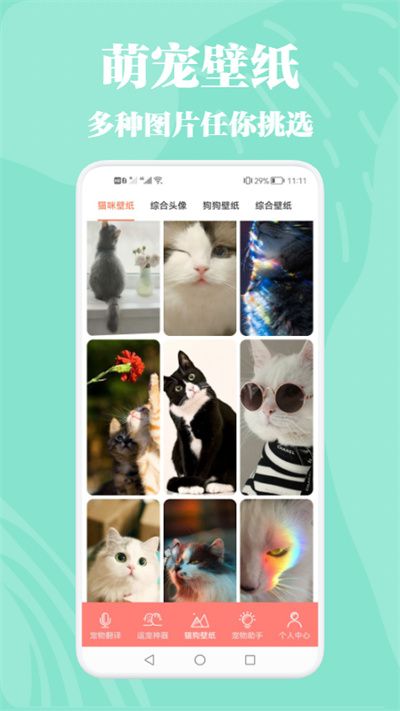 猫狗动物交流器app v1.1 安卓版 3