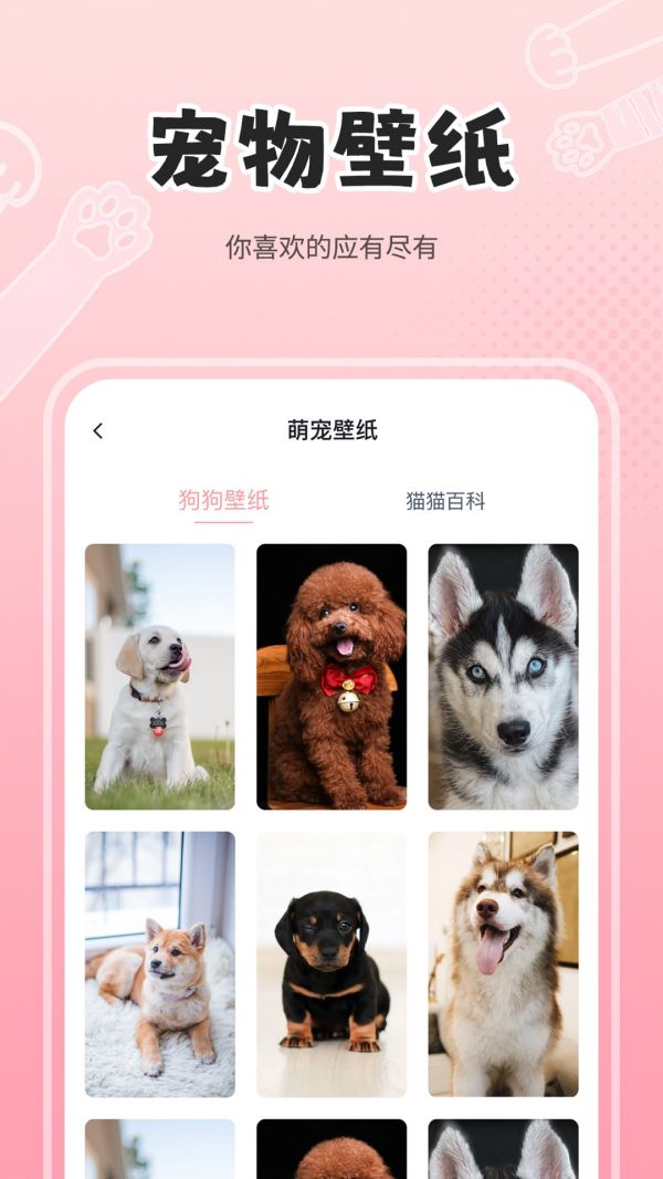 人狗猫交流器截图