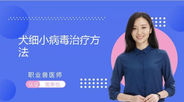 犬细小病毒治疗方法