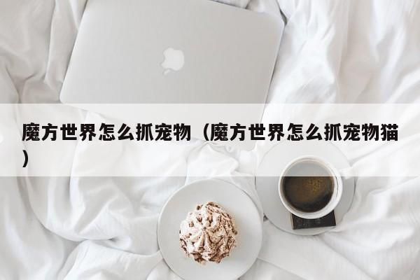 魔方世界怎么抓宠物（魔方世界怎么抓宠物猫） 魔方世界怎么抓宠物 第1张