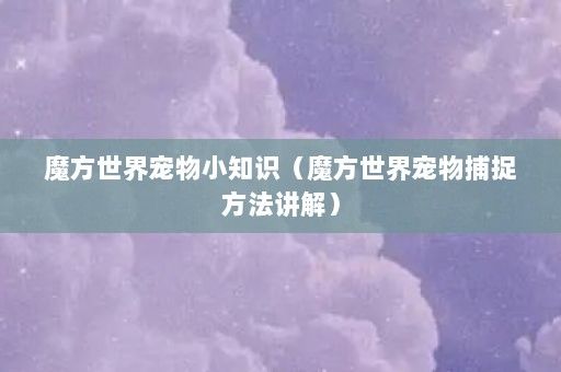 魔方世界宠物小知识（魔方世界宠物捕捉方法讲解）