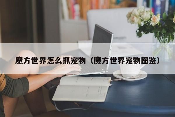 魔方世界怎么抓宠物（魔方世界宠物图鉴） 魔方世界怎么抓宠物 第1张