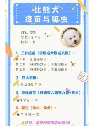 狗狗多久一次体内驱虫比较好-图1