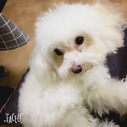 想知道中山市哪里有宠物市场在哪