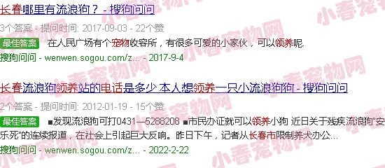 长春宠物救助领养中心电话
