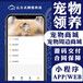 宠物领养APP开发宠物领养小程序开发