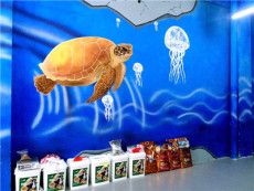 辽宁宠物店室内墙面绘画BABY营造更温馨环境