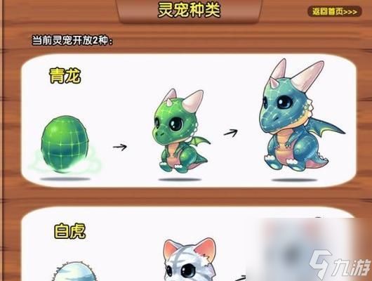 彩虹岛端游宠物获取方法是什么？有哪些宠物可获取？