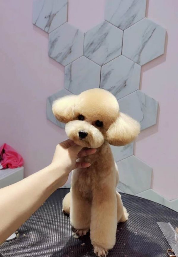 学员作品