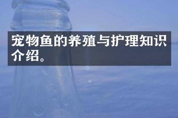 宠物鱼的养殖与护理知识介绍。
