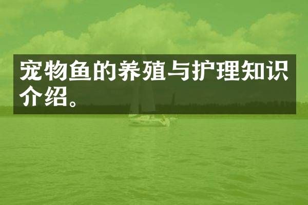 宠物鱼的养殖与护理知识介绍。