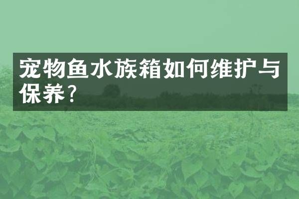 宠物鱼水族箱如护与保养？