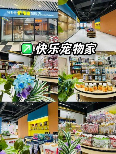 上海撸宠！佰家宠猫狗店超治愈 