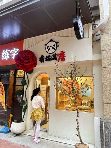 亲子免费撸猫，打开思路