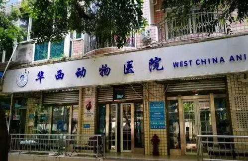 乐山核心景区附近,哪家宠物医院口碑好?