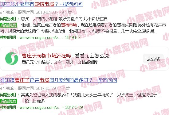 曹庄子宠物市场还在吗