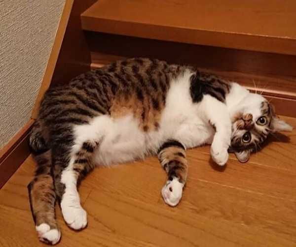 QQ截图20180914160946_副本.jpg