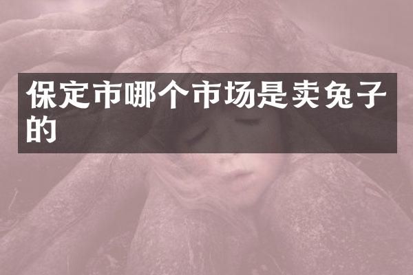 保定市哪个市场是卖兔子的