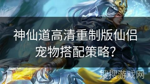 神仙道高清重制版仙侣宠物搭配策略？