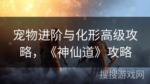 宠物进阶与化形高级攻略，《神仙道》攻略